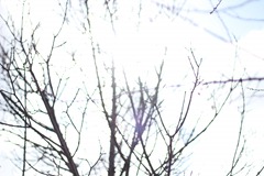 20110417 walk (51)
