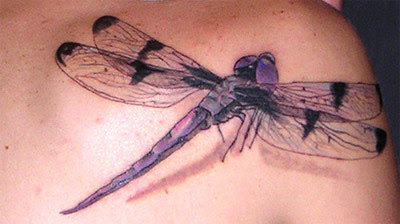 Dragonfly tattoo