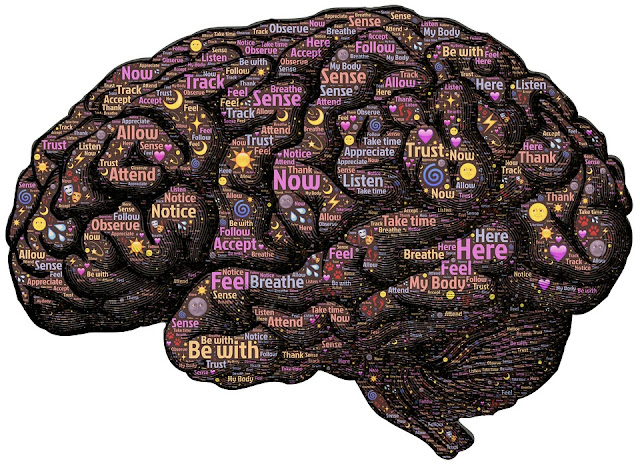 Monitorean cerebro para traducir pensamientos