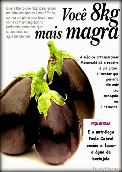 Berinjela-8kgMaisMagra-01-nova