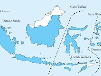 Persebaran Biodiversitas Indonesia-Materi Biologi Kelas X SMA-MA