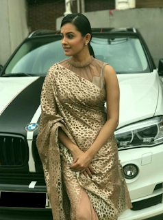 anita hassanandani cars