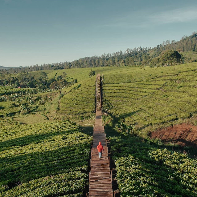 Tiket Masuk Nuansa Riung Gunung Pangalengan