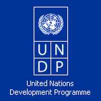 Internship Opportunity - Digital Transformation at UNDP | Home Based