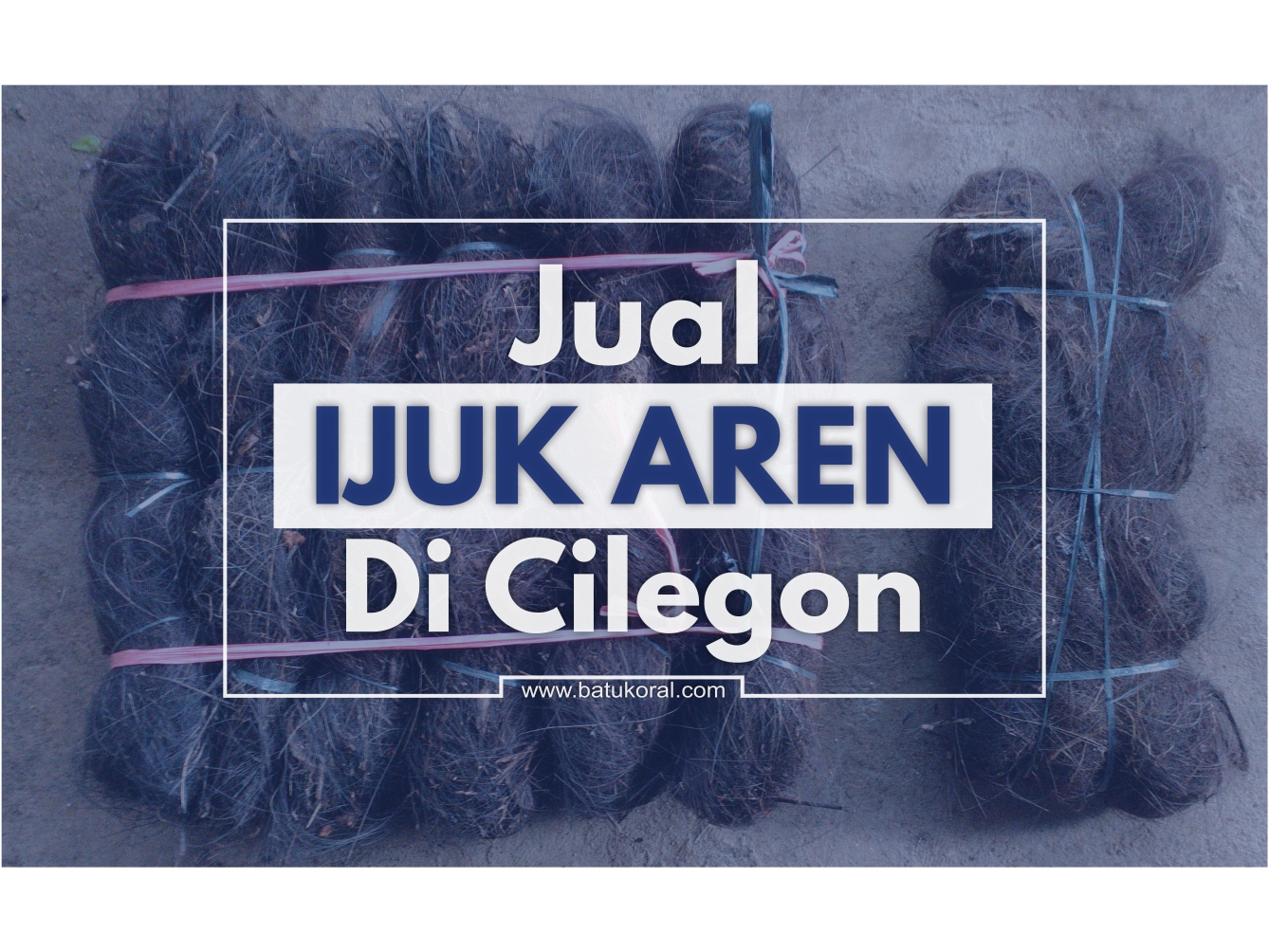  JUAL  IJUK DI  CILEGON  JUAL  BATU ALAM MURAH TANGERANG DAN 