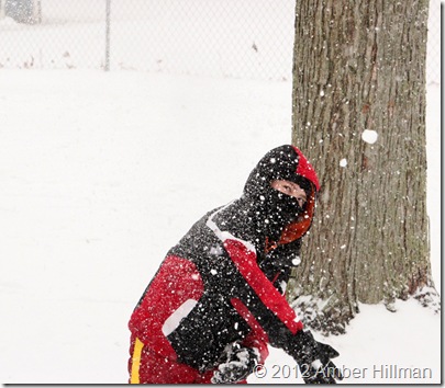 winter12c