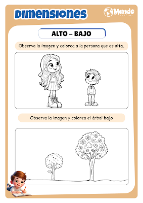 Dimensiones Alto Bajo - Fichas de Trabajo Inicial 3 Años