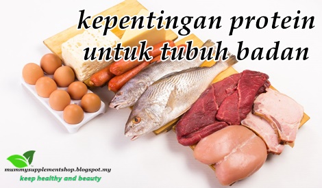 5 KEPENTINGAN PENGAMBILAN PROTEIN UNTUK TUBUH BADAN KITA