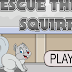 Rescue The Grey Squirrel