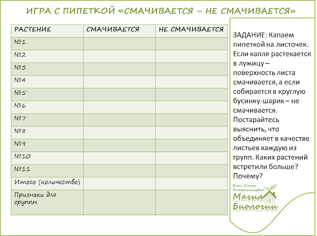 игра-с-пипеткой-листья-растений-смачивание-капиллярные-силы