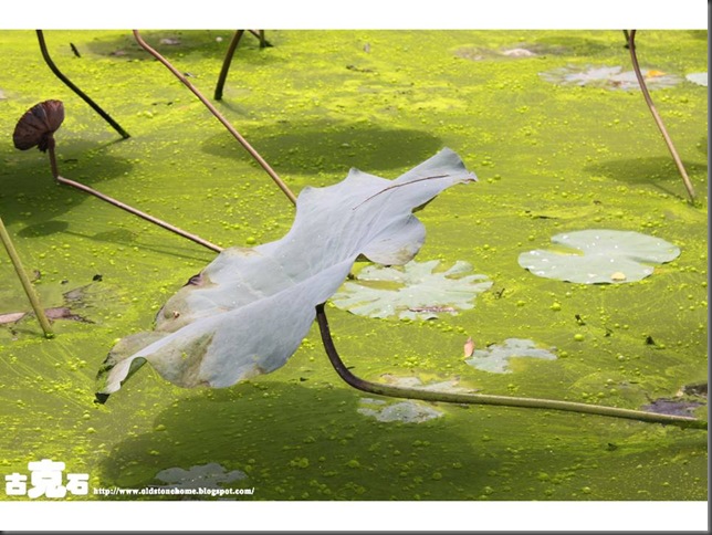 Slide72