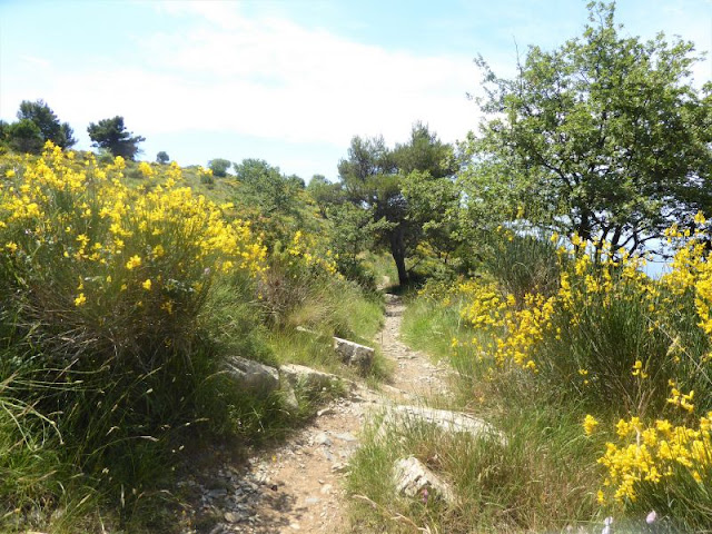 crinale Passo Chiappa Cervo