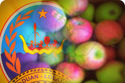 Harga Buah Apel di Saumlaki Rp35.000 per Kilo