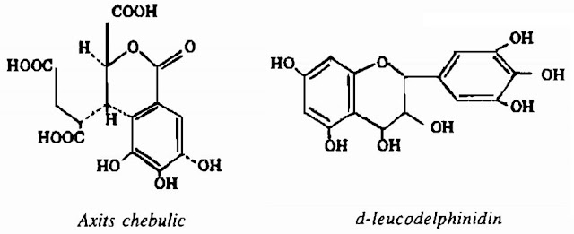 Thành phần hóa học Cây Me Rừng - Phyllantus emblica - Nguyên liệu làm thuốc Chữa Cảm Sốt