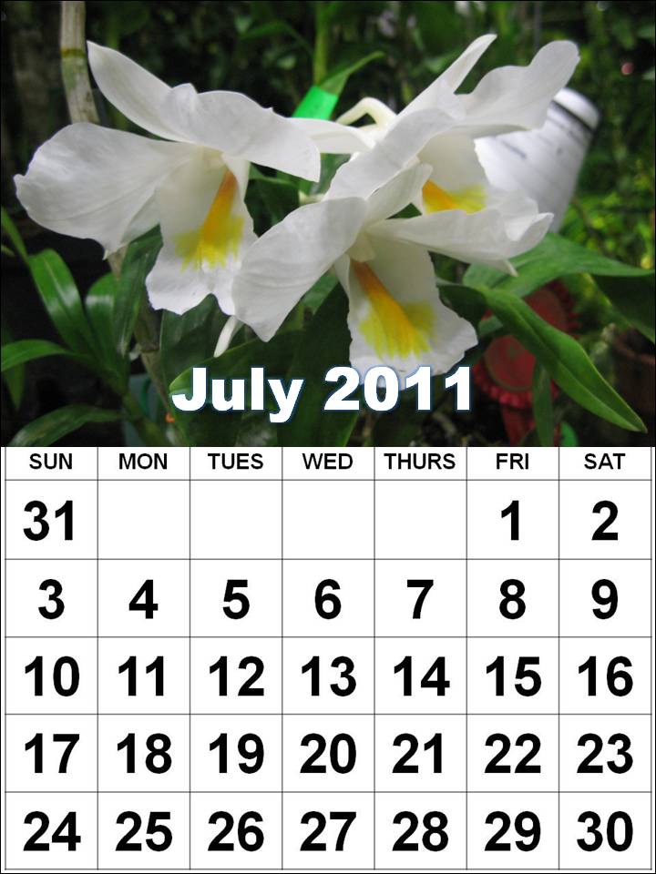 2011 calendar with holidays uk. 2011 CALENDAR UK BANK HOLIDAYS