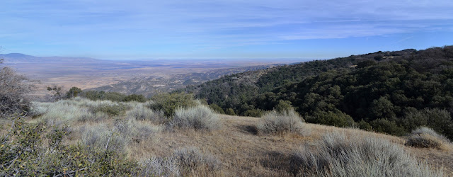 ridge lines and desert