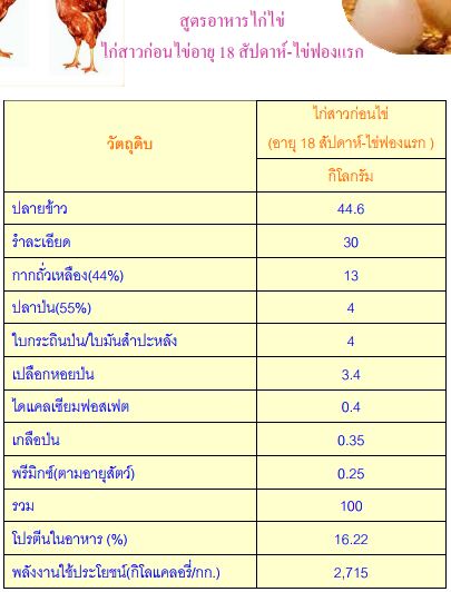 สูตรอาหารไก่ไข่ อายุ 18 สัปดาห์ ไข่ฟองแรก