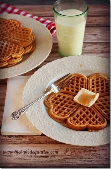 Gluten Free Waffles PM