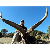 ibex hunt in spain, Beceite, Teruel, Aragón