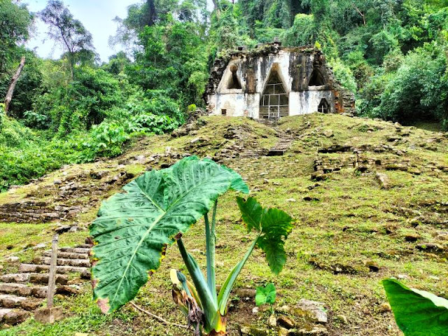 tempio Croce Fogliata Palenque