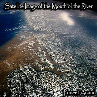 mouth of amazon river image