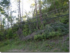 apr-may 2011 024