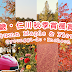 首爾季節限定團 - 總目錄 Seoul Seasonal Tour