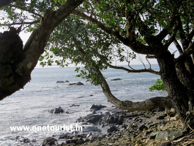 andaman beaches