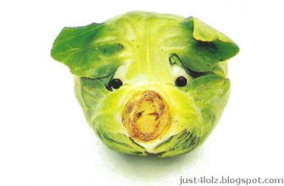 funny food cabbage