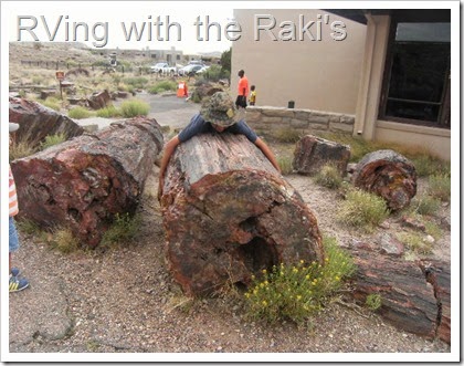 Visiting National Parks give you a chance to appreciate nature, to learn about the world around you, to collect Jr. Ranger badges, and to have fun!  RVing with the Raki's - The Petrified Forest