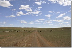 07-12 rte vers le sud 006 800X