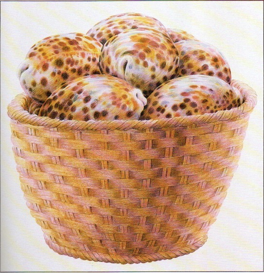 Basket of Shells (1979)