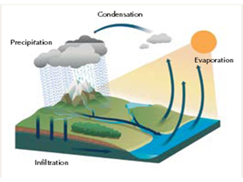 water cycle steps for kids. water resources challenges