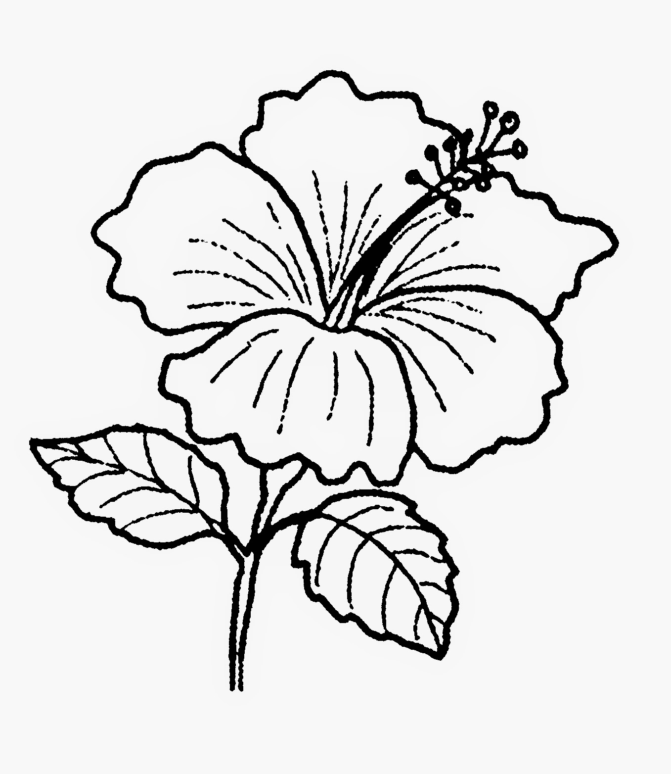 Dunia Sekolah Gambar Hitam Putih Drawing Bunga Pokok