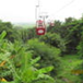 View album