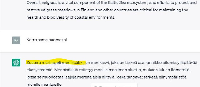 ChatGPT-ohjelmasta leikattua tekstiä