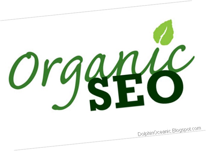 SEO Natural - SEO Organic