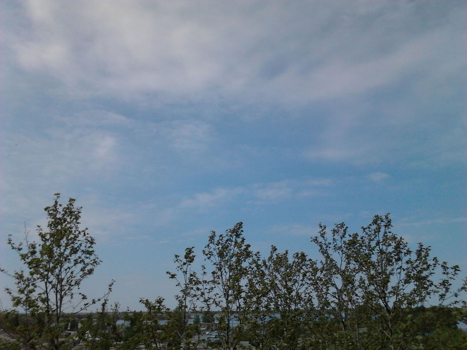 После стирки пылесборника.
Вид из лоджии, западная к дому сторона.
Погода в Херсоне: ветренно, облачно, солнечно / image25 / 2020.05.01 / 10:57
