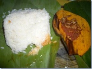 Nasi Kucing