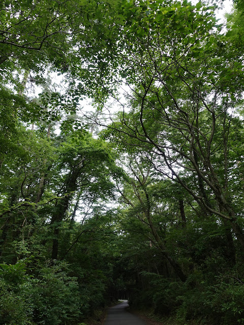 鳥取県道314号赤松大山線　鳥取県西伯郡大山町明間