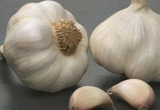 Garlic Treatment