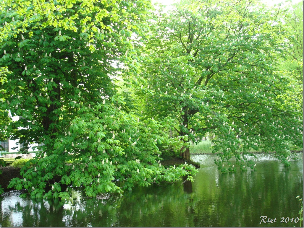 rhoon en kasteel 109