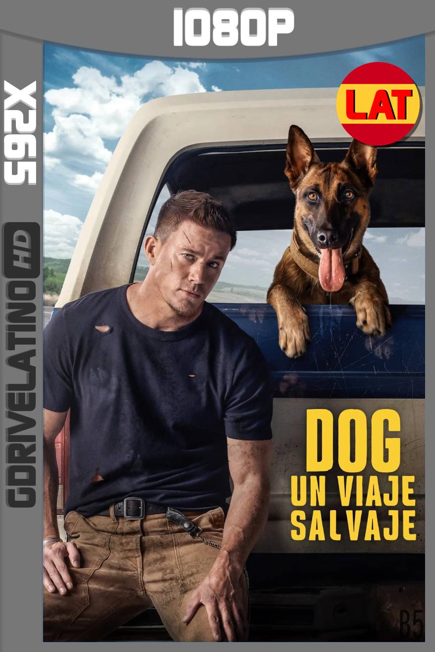 Dog: Un Viaje Salvaje (2022) BDRip 1080p x265 Latino-Ingles MKV