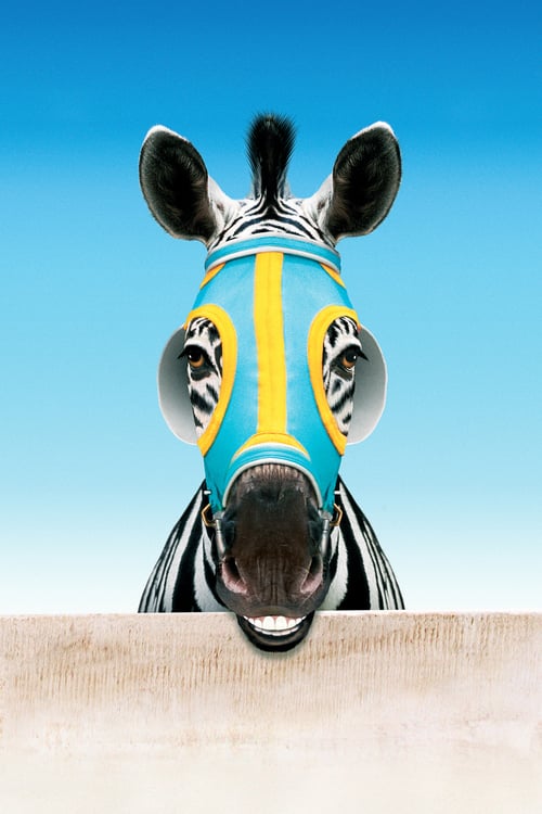 [HD] Im Rennstall ist das Zebra los 2005 Ganzer Film Kostenlos Anschauen