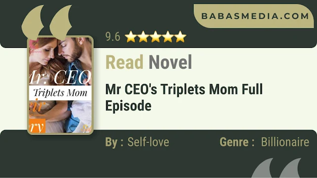 Cover Mr CEO's Triplets Mom Novel By Self-love