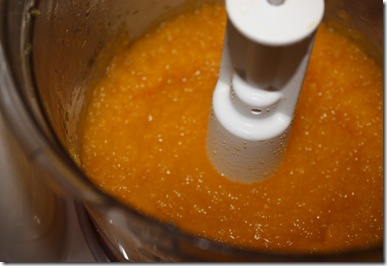 Thanksgiving 2009 046