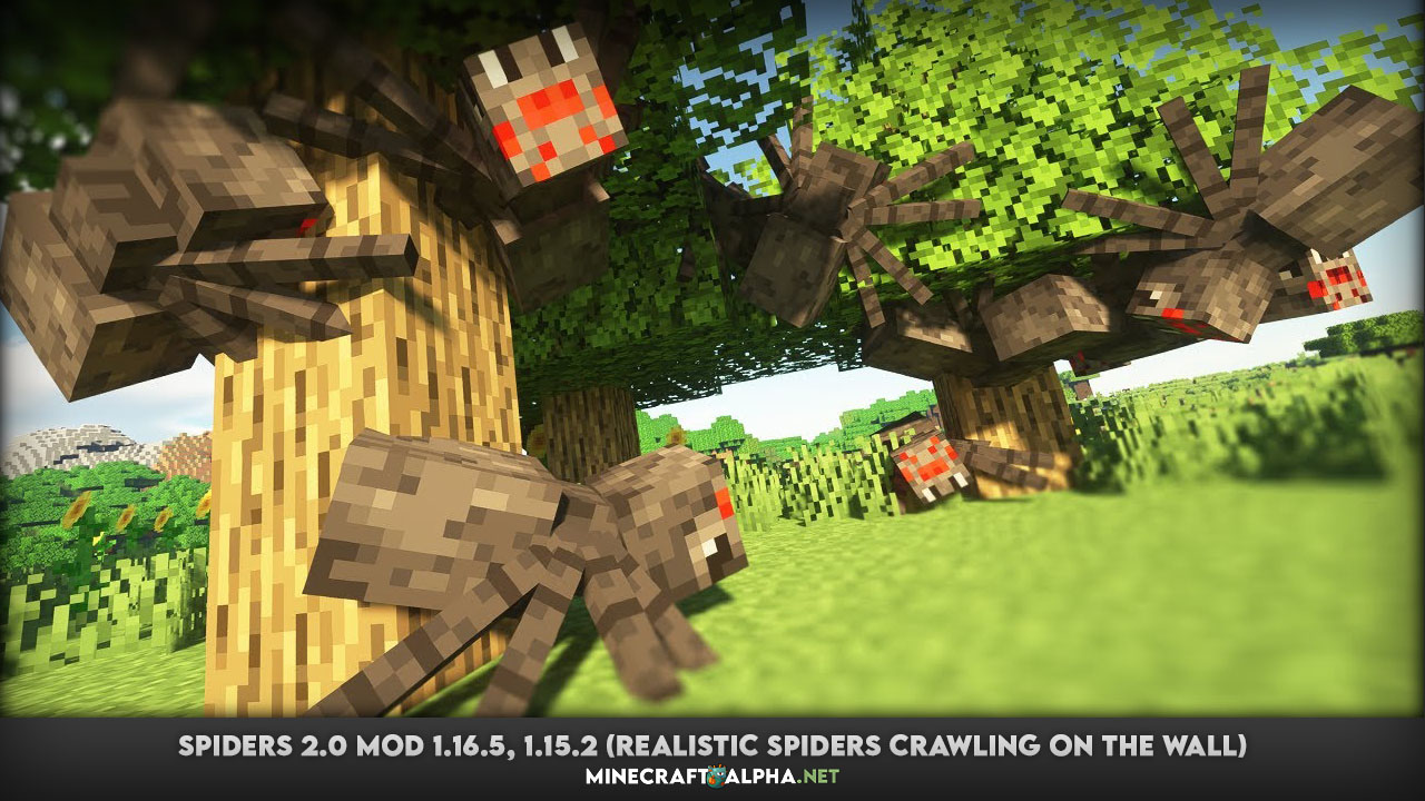 Spiders 2.0 Mod 1.16.5, 1.15.2 (Realistic Spiders Crawling on the Wall)