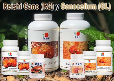 La Solución Natural a la Diabetes con el GANODERMA