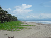 . Gerardo and I would head out to the beach to patrol a designated stretch . (dsc )