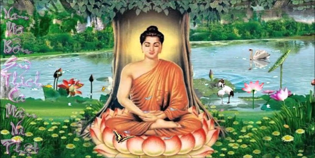  66 lời Phật dạy hay về cuộc sống